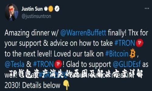 TP钱包资产消失的原因及解决方案详解