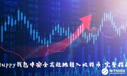 如何在Quppy钱包中安全高效地转入比特币:完整指南与技巧