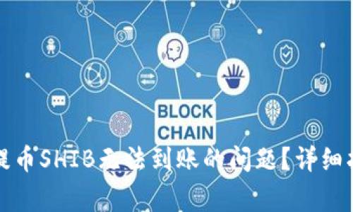 如何解决火币钱包提币SHIB无法到账的问题?详细指南与常见疑难解答