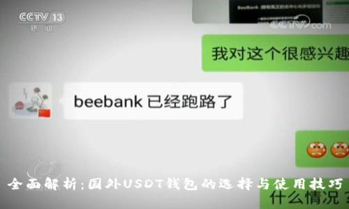 全面解析:国外USDT钱包的选择与使用技巧