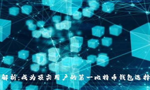 全面解析：成为顶尖用户的第一比特币钱包选择指南