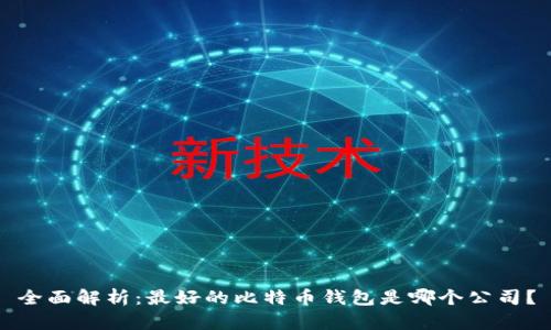 全面解析：最好的比特币钱包是哪个公司？