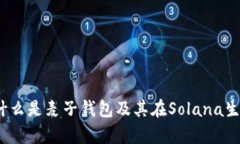 全面解析:什么是麦子钱包及其在Solana生态中的