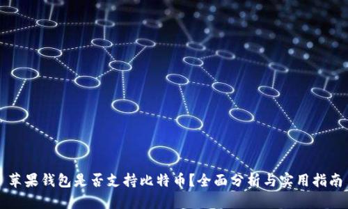 苹果钱包是否支持比特币?全面分析与实用指南