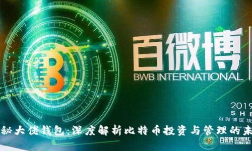 揭秘大佬钱包:深度解析比特币投资与管理的未来