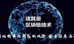 深入解析比特币热钱包的风险:安全隐患与防范