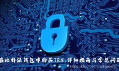 如何在比特派钱包中购买TRX：详细指南与常见问