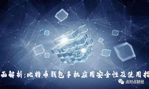 全面解析：比特币钱包手机应用安全性及使用指南