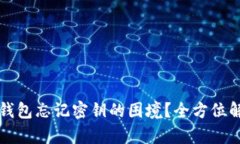 如何应对TP钱包忘记密钥的困境？全方位解决方案