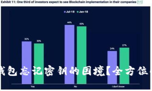 如何应对TP钱包忘记密钥的困境？全方位解决方案解析