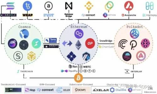 彻底解析：适合比特币现金（BCH）的最佳钱包选择/
比特币现金, 钱包, 加密货币, 区块链/guanjianci

在过去的几年中，比特币现金（BCH）作为一种重要的加密货币，吸引了越来越多用户的关注。与比特币（BTC）相比，比特币现金更加强调交易速度和手续费的低廉。对于投资者和用户而言，选择一个合适的钱包来存储和管理比特币现金，是保障资产安全和便捷使用的重要一环。在本文中，我们将详细探讨适合比特币现金的多种钱包选择，帮助用户做出明智的决策。

一、比特币现金钱包的分类

在深入了解比特币现金钱包之前，我们首先要知道钱包的分类。通常，钱包可以分为以下几类：

1. **热钱包**：热钱包是指连接互联网的钱包。这种类型的钱包便于使用，适合日常交易，但相对安全性较低。用户可以通过手机应用、桌面应用或在线平台来访问热钱包。例如，Electron Cash和Coinomi都是相对流行的热钱包，可以方便地管理比特币现金。

2. **冷钱包**：冷钱包是指不直接连接互联网的钱包。这种钱包具有较高的安全性，适用于长期存储资产。比特币现金用户可以选择硬件钱包（如Trezor或Ledger Nano S）或纸钱包作为冷钱包。硬件钱包通常会加密用户的私钥，从而提供更高的安全性。

3. **托管钱包**：托管钱包是由第三方提供的服务，用户将其资产存储在第三方平台上。虽然这种钱包提供了一定的便捷性，但用户需要信任托管方的安全性。Binance和Coinbase等交易所提供的托管钱包是此类钱包的代表。

4. **非托管钱包**：非托管钱包是指用户自己掌控私钥的钱包，通常提供更高的安全性。用户需要负责私钥的管理，推荐使用这类钱包的用户包括寻求高度隐私和安全性的投资者。

二、最佳比特币现金钱包推荐

以下是一些适合存储比特币现金的优秀钱包，涵盖了热钱包和冷钱包的不同需求：

1. **Electron Cash**：对于比特币现金的用户来说，Electron Cash是一个非常受欢迎的选择。它是一个轻量级的热钱包，具有友好的用户界面和快速的交易速度。Electron Cash不仅支持桌面版本，还有移动版，方便用户在不同设备上使用。

2. **Coinomi**：这是一个多币种钱包，支持包括比特币现金在内的多种加密货币。Coinomi提供了一种简单、安全的方式来管理不同的数字资产。其特色是拥有内置的兑换服务，可以直接在钱包内进行货币之间的兑换。

3. **Trezor**：对于希望最大程度保障资产安全的用户，Trezor硬件钱包是一个理想的选择。尽管初始投资较高，但它提供了最高级别的安全性，能够有效防范黑客攻击和盗窃。

4. **Ledger Nano S**：另一款非常流行的硬件钱包，Ledger Nano S以其紧凑的设计和丰富的功能受到用户欢迎。它支持比特币现金及众多其他加密货币，提供了顺畅的操作体验。

三、如何选择适合自己的比特币现金钱包

选择比特币现金钱包时，需要考虑以下几个因素：

1. **安全性**：安全始终是选择加密货币钱包的首要考虑因素。冷钱包通常比热钱包更安全。如果您打算长期持有比特币现金，建议选择硬件钱包；如果您只是进行频繁交易，热钱包可能更适合。

2. **易用性**：用户体验也是重要的选择标准。钱包应具备友好的用户界面和便捷的操作流程。此外，提供多种语言支持也会提升使用体验。

3. **支持币种**：确保钱包支持比特币现金以及您可能拥有的其他加密货币，尤其是如果您计划进行多种不同加密货币交易时。

4. **社区支持与信誉**：选择拥有好口碑和积极社区支持的钱包，可以获取到更多的资源和帮助。在选择之前，查看用户评价，了解钱包的优缺点。

四、如何有效使用比特币现金钱包

使用比特币现金钱包时，需遵循一些最佳实践，以确保您的资金安全：

1. **备份私钥**：始终备份您的私钥或助记词，并将其保存在安全的地方。丢失私钥将导致您失去对钱包内资产的访问权限。

2. **定期更新**：保持钱包软件的更新，确保拥有最新的安全补丁防护漏洞。确保从官方渠道获取更新，以避免恶意软件的风险。

3. **设置双重验证**：如果钱包支持双重验证功能，请务必启用。这能为您的账户提供额外的安全性，防止未经授权的访问。

4. **注意钓鱼攻击**：保护您的钱包和设备不受网络钓鱼攻击的侵害。不要随意点击不明链接，也不要在不安全的网络上进行交易。

五、可能相关的问题及解决方案

1. 如何确保私钥的安全性？

私钥是访问和控制比特币现金以及其他加密资产的“钥匙”，因此确保私钥的安全性至关重要。以下是几种保障私钥安全的建议：

1. **使用冷钱包**：尽量将大部分资产存储在冷钱包（如硬件钱包）中，避免通过热钱包进行长时间保存。冷钱包不与互联网连接，有效降低被攻击的风险。

2. **加密存储**：如果必须在网络上存储私钥，请务必使用加密方法进行保护。选择加密软件将私钥加密并保存在设备上，确保即使设备被盗，恶意用户也无法轻易访问。

3. **多重备份**：私钥的备份应使用不同的方式存储，如纸质备份、USB驱动器等，确保在一份丢失的情况下仍有其他形式存在。同时，应避免将所有备份保存在易受损坏或盗取的地方。

4. **谨防社交工程**：很多黑客通过社交工程手段获取用户信息，从而盗取其私钥。保持低调，不随意在公众平台分享个人信息，定期更新账户安全设置。

2. 比特币现金钱包的交易费用如何计算？

在比特币现金的交易过程中，交易费用是影响用户体验的重要因素。交易费用由多种因素构成：

1. **网络拥堵情况**：当比特币现金网络交易需求激增时，交易确认时间可能会延长，导致用户不得不支付更高的手续费，以优先处理其交易。在交易量较少、相对冷清的时段，用户可以支付更低的费用。

2. **交易优先级**：不同的钱包可能会为不同的交易设置不同的费用。用户可以选择支付更高的费用，以提高交易的优先级，或选择低费用，等待区块空间的释放。

3. **钱包的设计**：某些钱包具备智能计算手续费的功能，根据当前网络拥堵情况自动为用户计算一个合理的手续费，使用户在交易时可以选取合适的费用。

总体而言，把握好交易时间和手续费设置非常重要，用户可通过实时查看网络状态和推荐的手续费来交易成本。

3. 为什么选择比特币现金而不是比特币？

比特币现金（BCH）与比特币（BTC）之间存在着许多根本性的差异，以下是一些选择比特币现金的理由：

1. **更低的交易费用**：比特币现金专注于实现低交易费用和提高交易速度。由于其较大的区块容量，用户在进行小额交易时往往能享受到更低的手续费，这对于日常小额支付来说显得尤为重要。

2. **快速交易确认**：比特币现金网络的交易确认时间通常更短。对于频繁交易的用户来说，快速的确认过程可以带来更加流畅的用户体验。

3. **与比特币的去中心化理念**：比特币现金旨在保持去中心化的性质，而不是依赖高级硬件的矿工来维持网络安全，这使得更多普通用户能够参与其中，提高网络的去中心化程度。

4. **社区支持**：比特币现金拥有活跃的社区和开发团队，不断进行技术创新和改进。随著市场需求的发展，比特币现金的技术和生态系统正在不断完善。

综上所述，选择比特币现金的用户通常看重其交易的便捷性与经济性，尤其是在小额日常支付场景下，BCH展现出强大的竞争力。

总之，随着比特币现金的不断发展，钱包的选择和使用手段也在不断进化。希望本文能够帮助到您，更好地管理与使用比特币现金，为您的加密货币之旅打下坚实的基础。