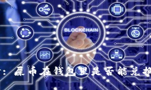 深入探讨: 屎币在钱包里是否能兑换为USDT？