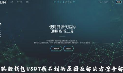
小狐狸钱包USDT找不到的原因及解决方案全解析