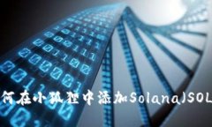 如何在小狐狸中添加Solana（SOL）?
