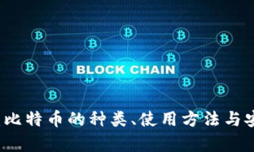 深入探讨：比特币的种类、使用方法与安全性分析